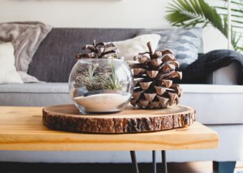 Feng Shui, equilibrando a energia de casa