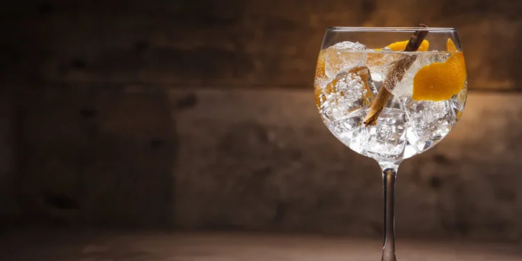 Gin Tônica de Canela e Laranja