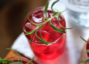 Receita de Drink Cranberry Punch