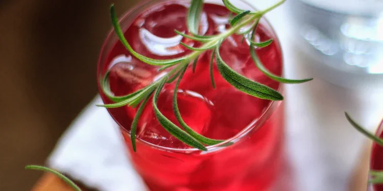 Receita de Drink Cranberry Punch