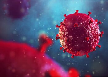 Quais são as fases da infecção pelo HIV?