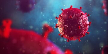 Quais são as fases da infecção pelo HIV?