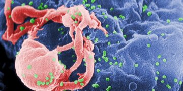 HIV: Teste, autoteste e exames