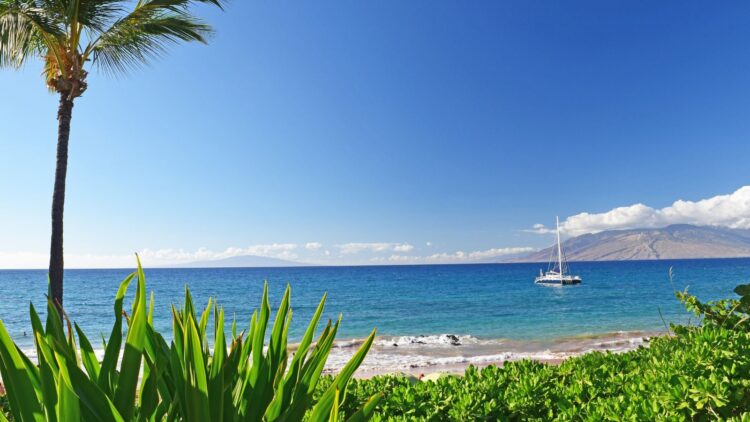 Maui: A Ilha do Sol, conheça mais sobre este paraíso no Havaí