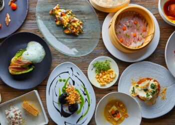 Ganhar dinheiro cozinhando, veja o guia para ganhar muito com gastronomia