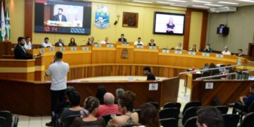 Mulher leva pé de maconha em audiência em Foz do Iguaçu